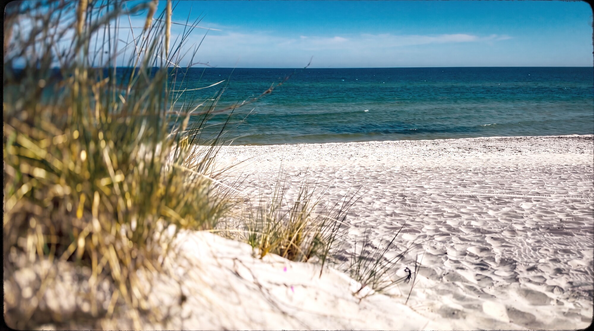 Plaża i wydmy nad Bałtykiem