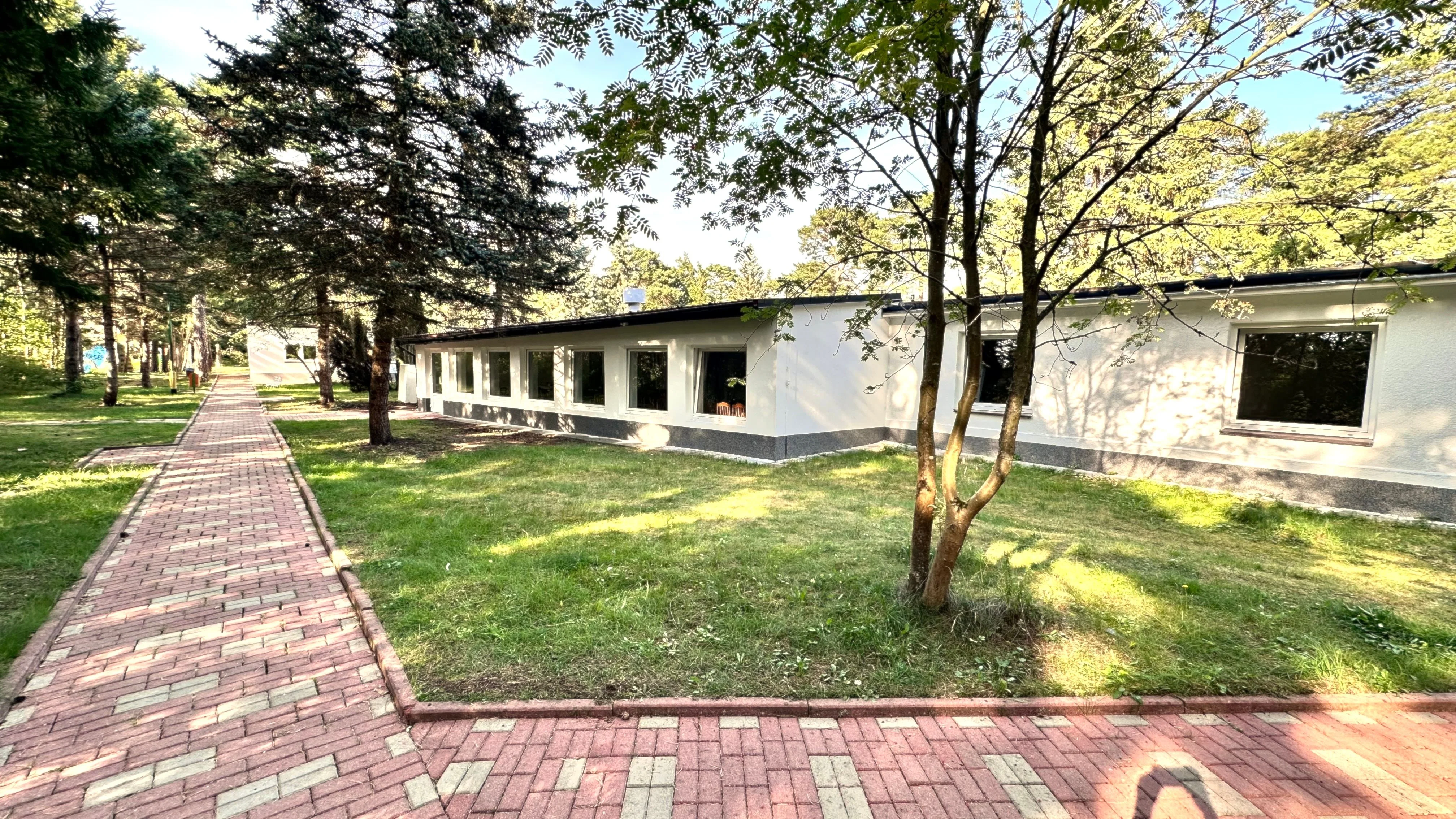 Zielona część Helskiej Ostoi przy pokojach